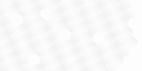 Fototapeta premium Abstract modern hexagon background. White and grey honey geometric texture. Vector art illustration