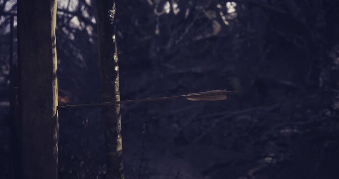 An arrow is embedded in a wooden target amid a dense forest at dusk. The dim light adds a dramatic effect to the archers skill and focus on precision.