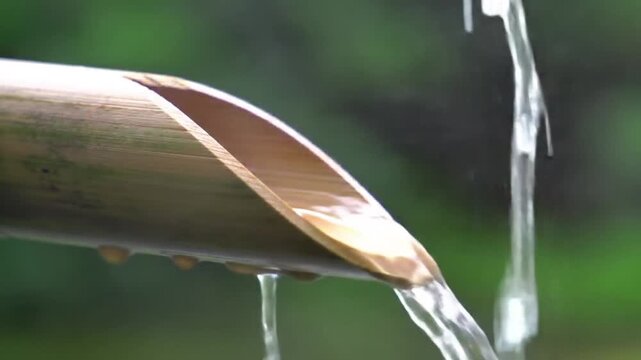 Clear water flows from a natural bamboo spout in lush greenery.