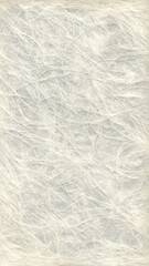 Obraz premium Delicate Fibrous Paper Texture Background