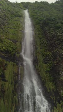 Vertical 4K shot of a powerful tropical waterfall cascading down mossy cliffs, Madeira