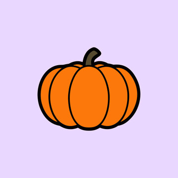 vector illustration of a pumpkin Orange Pumpkin with Green Vine and Leaves Illustration.  Autumn Harvest Pumpkin Vector for Thanksgiving and Halloween Decor.