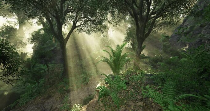 Sunlight streams through the canopy of trees in a tranquil forest. Green ferns and diverse vegetation thrive in the rich undergrowth, creating a peaceful natural atmosphere.
