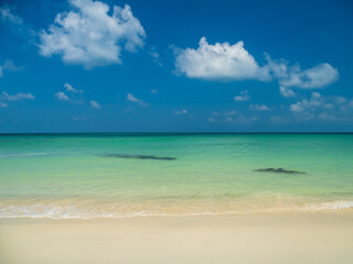 Fototapeta premium Peaceful panorama tropical sea beach with gentle waves rolling onto golden sand under bright blue sky with fluffy white clouds. relaxing summer scene perfect scene for travel holliday and nature lover