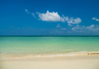 Fototapeta premium Peaceful panorama tropical sea beach with gentle waves rolling onto golden sand under bright blue sky with fluffy white clouds. relaxing summer scene perfect scene for travel holliday and nature lover