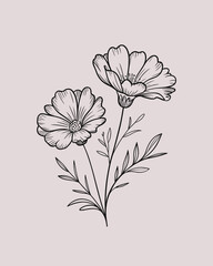 Fototapeta premium Elegant Wildflower Botanical Line Art – Minimal Floral Outline Illustration