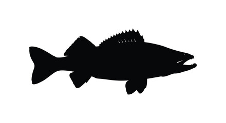 Fototapeta premium Black silhouette of a largemouth bass detailed fish and form silhouette