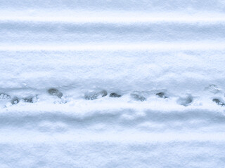 Obraz premium Fresh snow with animal and human footprints creating patterns