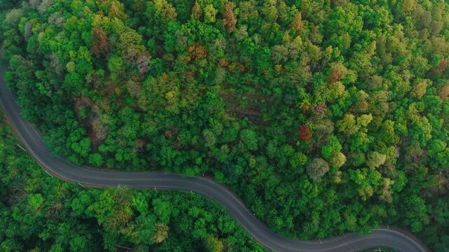 Aerial tiew winding road in valley in Doi Inthanon park on mountain Chiang Mai Thailand.