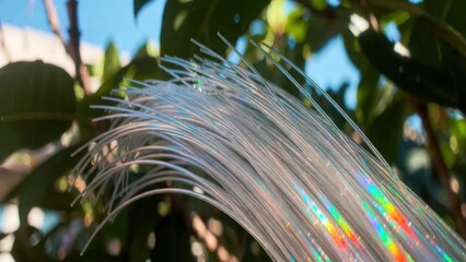 Fototapeta premium Fiber optic strands refracting rainbow light in garden foliage.