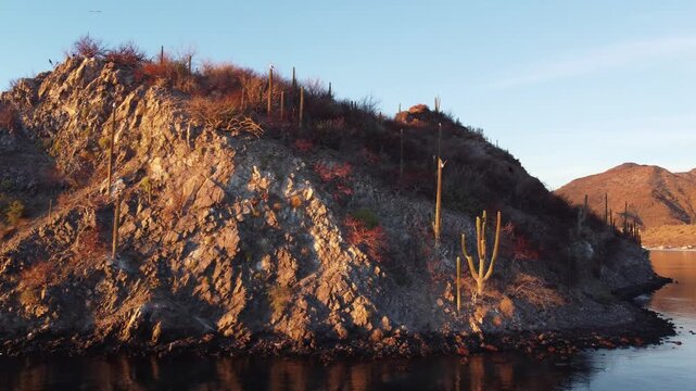 Rocky island birds flying over ocean sunrise 