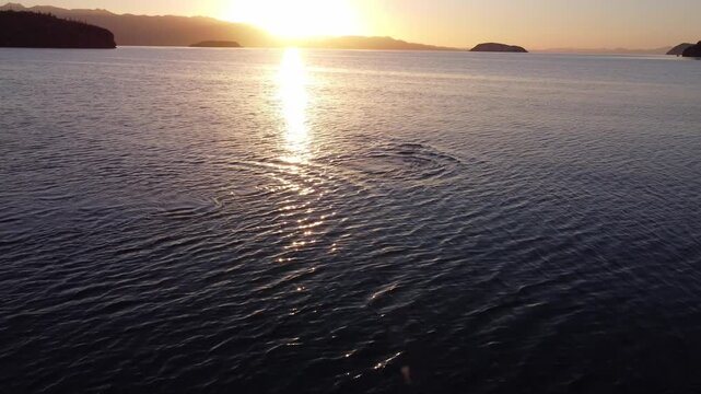 Dolphins surfacing and blowing air sunrise water