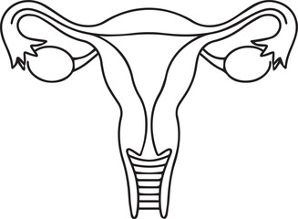 Female Reproductive System Vector Icon, Uterus and Ovaries Minimalist Line Art Illustration