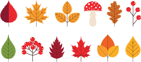 Flat Vector Illustration of Autumn Leaves, Mushrooms and Berries Set, Colorful Fall Nature Elements Isolated on White Background. © Sohel