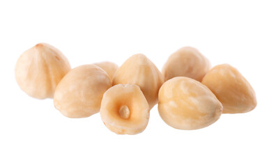 Hazelnut isolated on white background. Peeled hazelnuts. Clipping path.