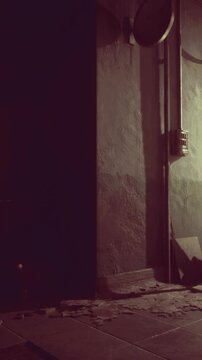 A dimly lit hallway in a decrepit building shows peeling walls and green light filtering through gaps. Disordered papers and debris cover the floor, hinting at neglect and disuse.