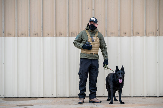 An Immigration and Customs Enforcement (ICE) officer and a black German Shepherd conduct surveillance.