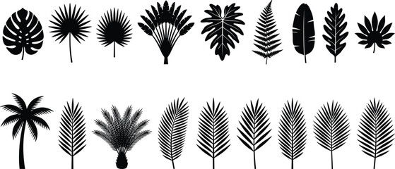 Large collection of black tropical leaf silhouettes and palm trees with monstera fern and banana leaves, vector icons for summer beach and exotic nature design © Atabur