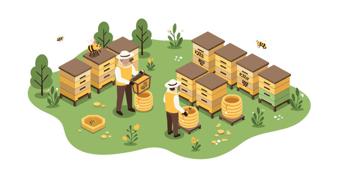 Beekeeping scene with hives and beekeepers in isometric style