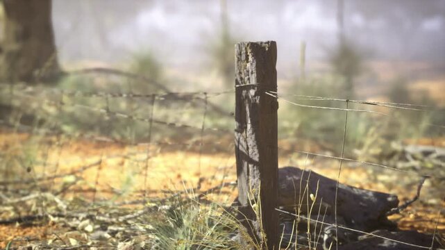 Weathered wooden fence post, barbed wire stretching across dry field in soft fog, muted tones, rusted staples gripping splintered wood, blurred prairie