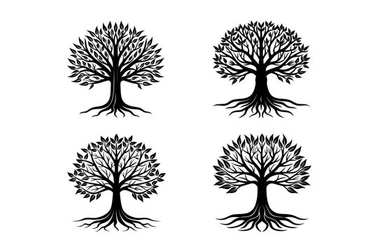 Four tree silhouettes with roots and leaves
