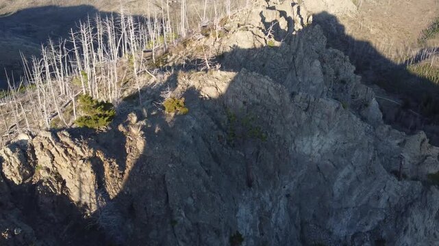Rocky ridge with dead trees 