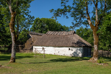 Obraz premium Traditional White Stone Farmhouse with Thatched Roof in Viki Saaremaa Estonia