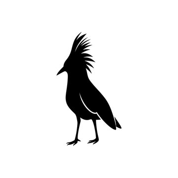 Kagu silhouette on white background vector illustration