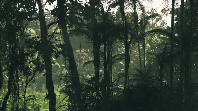 Backlit fiji rainforest grove with golden rays, silhouettes of trees and luminous mist creating depth and contrast, restorative atmosphere for nature