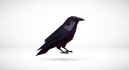 Obraz premium Black Crow Standing on White Background.