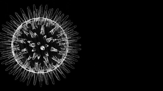 Holographic Virus Concept 3D Loop Animation

A seamless looping 3D animation of a holographic virus particle on a black background. High-quality visualization for medical, scientific, or futuristic te