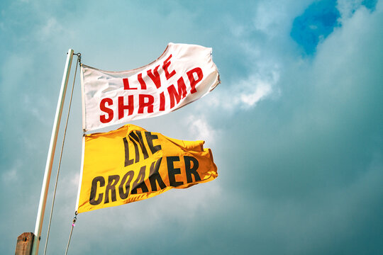 live shrimp and live croaker flag