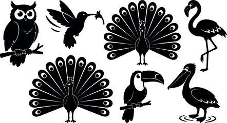 Fototapeta premium Flat design bird silhouette set with peacock owl toucan hummingbird flamingo pelican on white background close up black vector icons