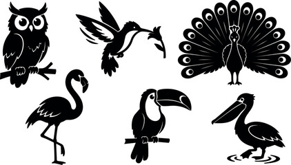 Fototapeta premium Silhouette vector flat design six exotic birds owl hummingbird peacock flamingo toucan pelican black decorative in varied poses and angles