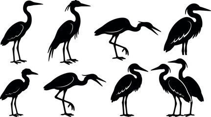 Fototapeta premium Minimalist vector heron silhouettes in various poses close up standing walking preening side view low angle set on white background