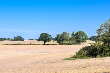 Fototapeta premium Aktuelle Situation des Klimawandels in Europa