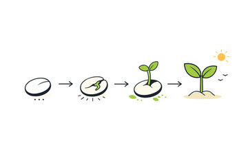 New beginnings symbolic spring art transformation. A seed opening into a sprout, shown in a simple step-by-step visual flow. The illustration conveys
