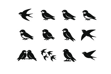 Fototapeta premium Swallow. Solid icon set of Swallow: barn swallow, cliff swallow, tree swallow, house martin, sand martin, bank swallow, juvenile swallow, adult swallow,