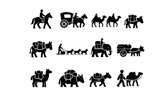 Transportation Animals. Solid icon set of Transportation Animals: riding horse, carriage horse, camel caravan, pack donkey, mule transport, sled dog team,