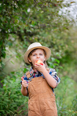 Boy in hat holding bitten red apple and showing thumbs up in orchard during autumn harvest