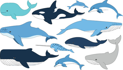 Obraz premium Whales and dolphins illustration set, marine mammals collection including blue whale, orca and dolphin, flat vector ocean animals isolated on white