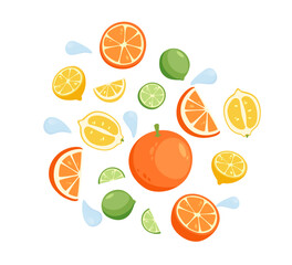 Different fresh citrus fruits flying in air on white background. Modern vector illustration, Different ripe citrus fruit