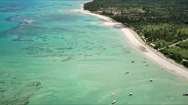 Aerial view of reef barrier at Sao Miguel dos milagres. Hidden gem beach in Alagoas, Brazil.