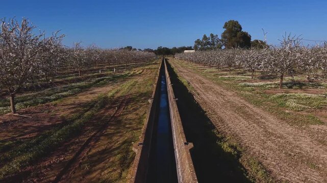  canales de regad&iacute;o que dan vida al campo. 