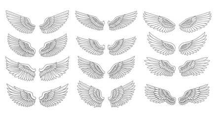 Fototapeta premium collection of vector wing designs depicting feathered angel and bird wings ideal for graphic resources logos or tattoo concepts.