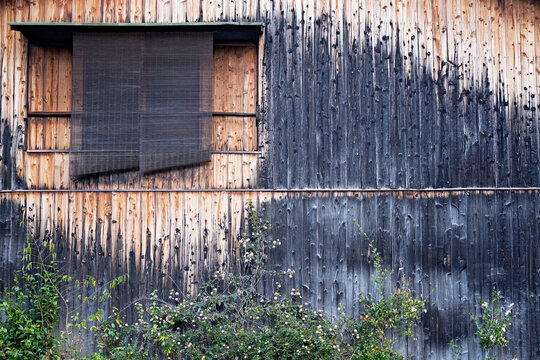 Yakisugi Cedar Wall with Cane Blinds and Green Vine in Japan