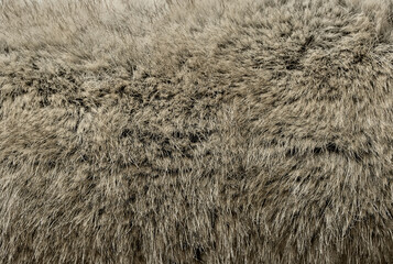 Soft fluffy faux fur texture in warm gray tone