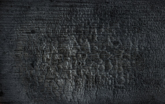  Black charred and scorched wood background
