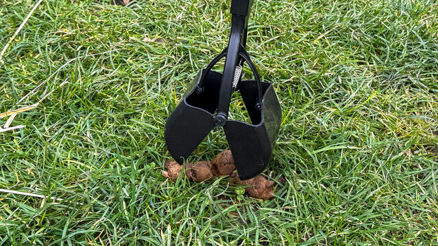 Pooper scooper poised over verdant field, an ode to Pet Cleanliness Day, choreographed choreography in urban wildlife management