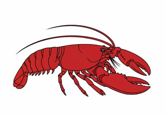 Red Lobster Claw Crustacean Seafood Illustration.